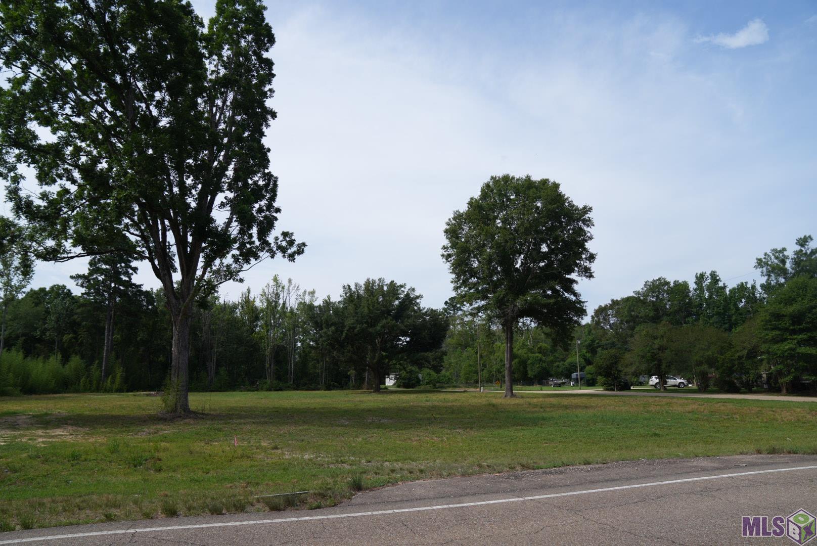 39690 Julius Barber Road Denham Springs, LA 70706 - Photo 1 of 3 Gallery Image 1