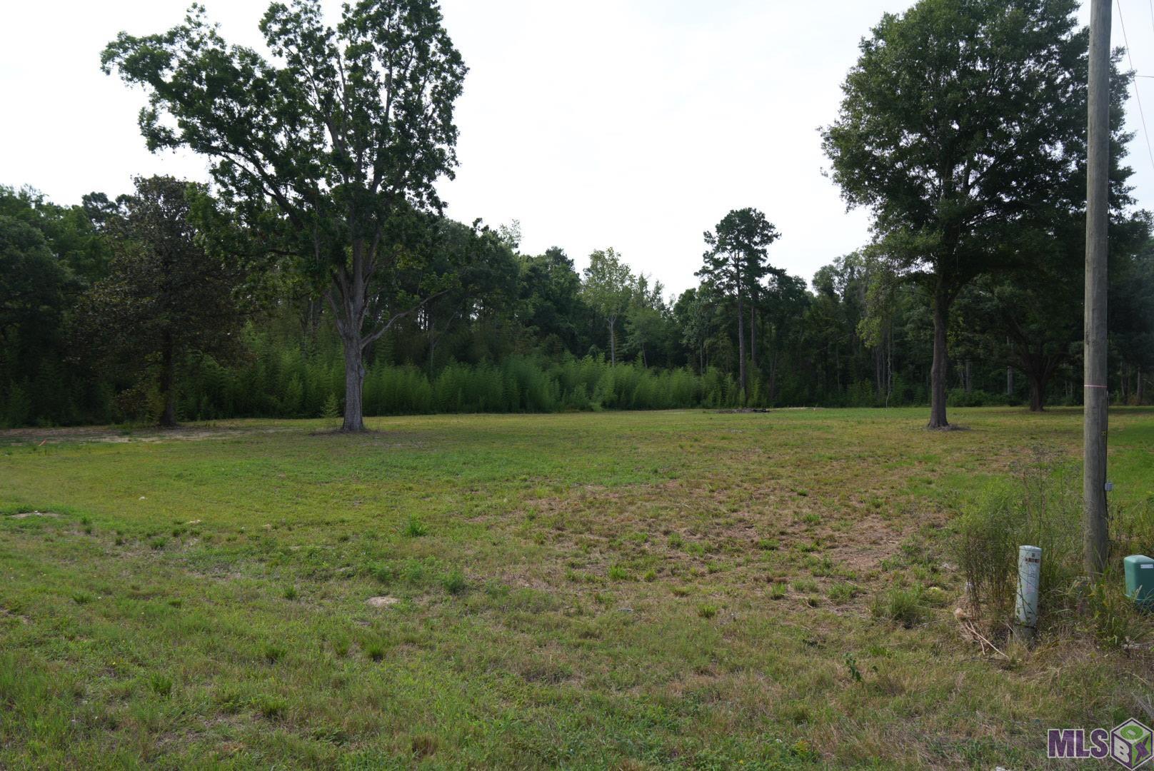 39690 Julius Barber Road Denham Springs, LA 70706 - Photo 2 of 3 Gallery Image 2