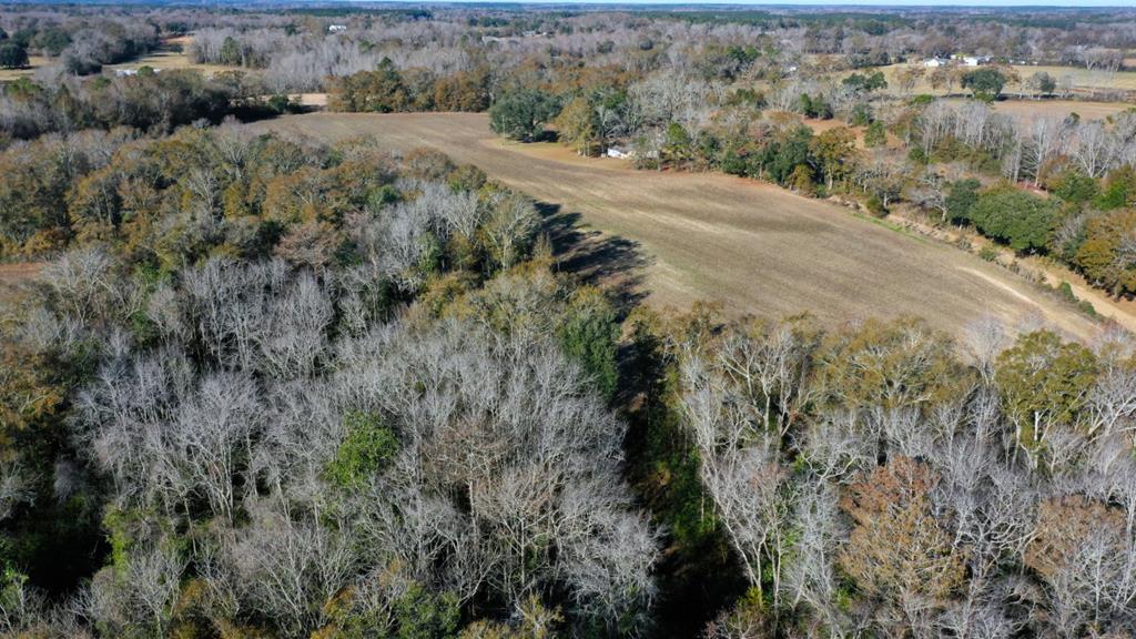 167 Grady Garner Road Slocomb, AL 36375 - Photo 1 of 20 Main View