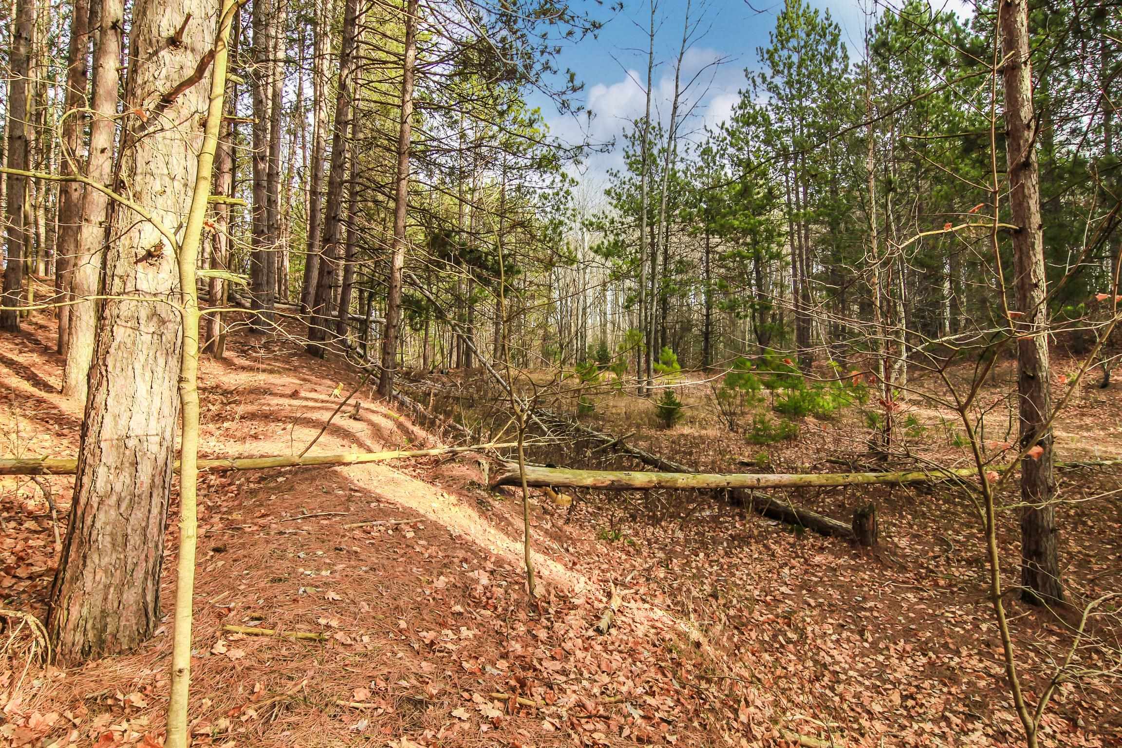 5172 Cedar Valley Road Traverse City, MI 49684 - Photo 9 of 26
