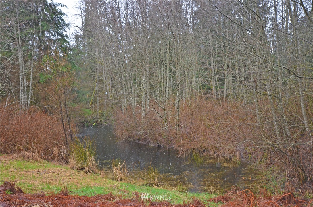 15919 Burn Road Arlington, WA 98223 - Photo 6 of 24 Gallery Image 6