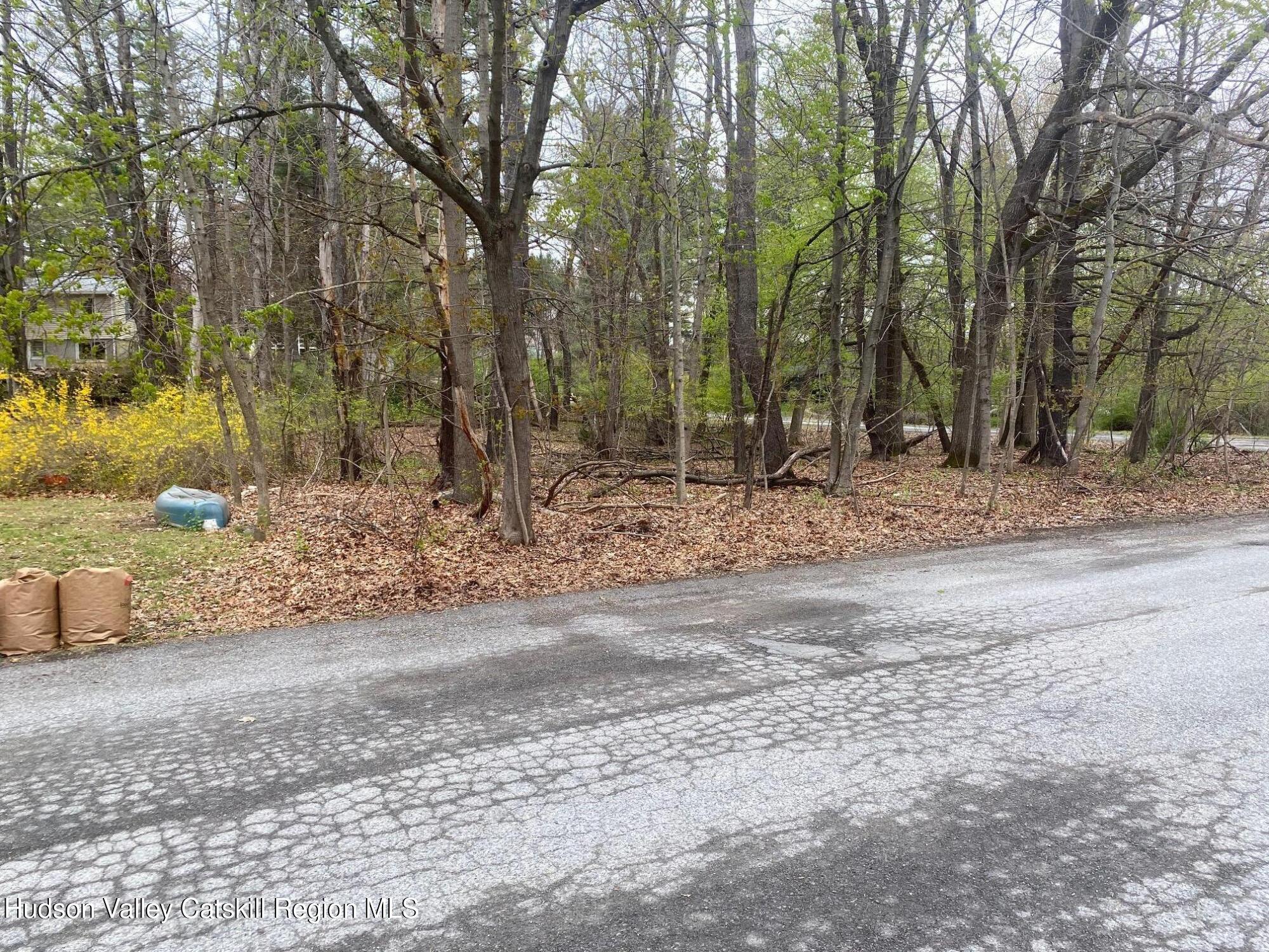 1129 Lakeview Road Copake, NY 12516 - Photo 6 of 12 a view of dirt yard with a large tree