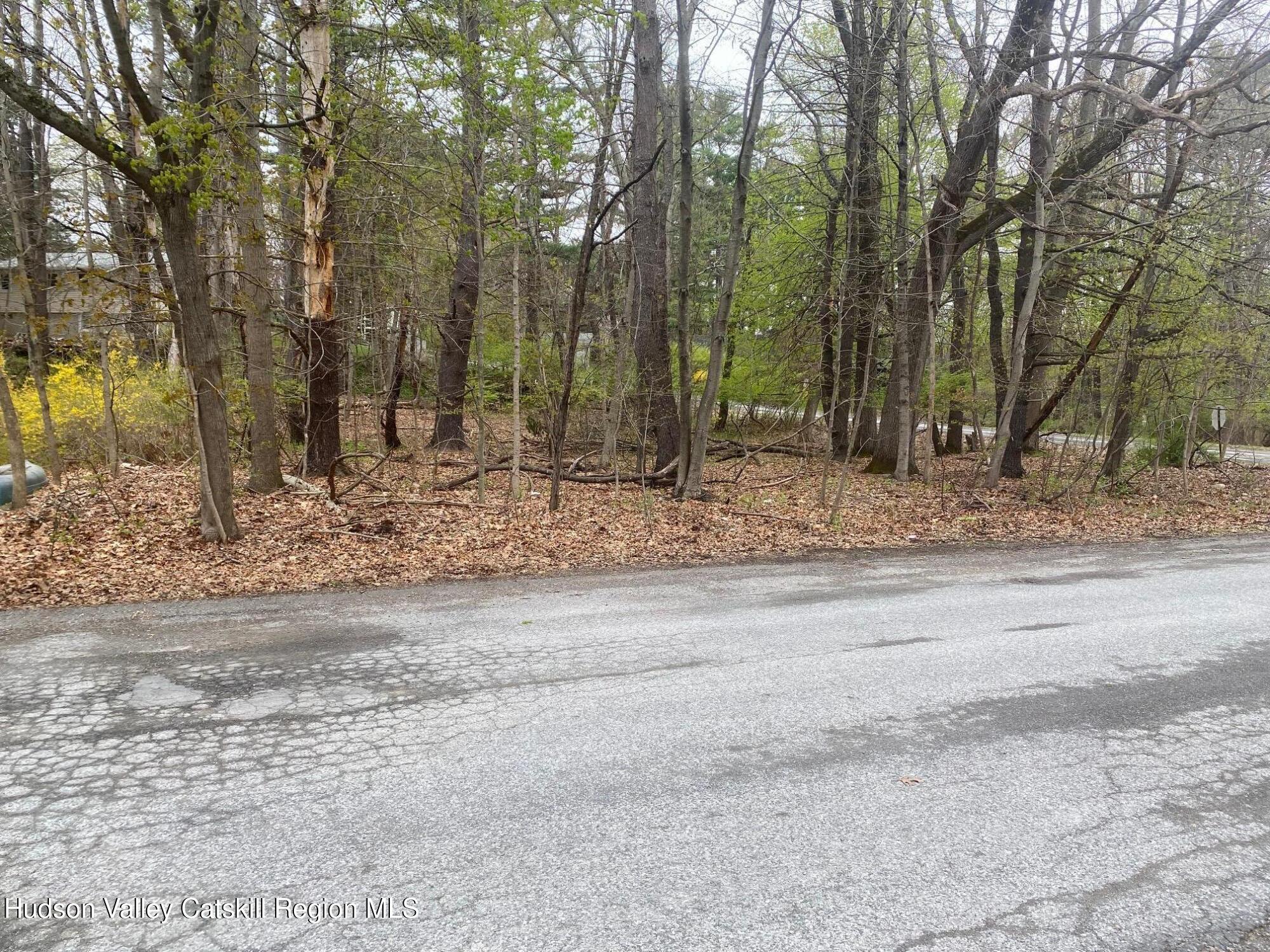 1129 Lakeview Road Copake, NY 12516 - Photo 7 of 12 a view of a yard with trees