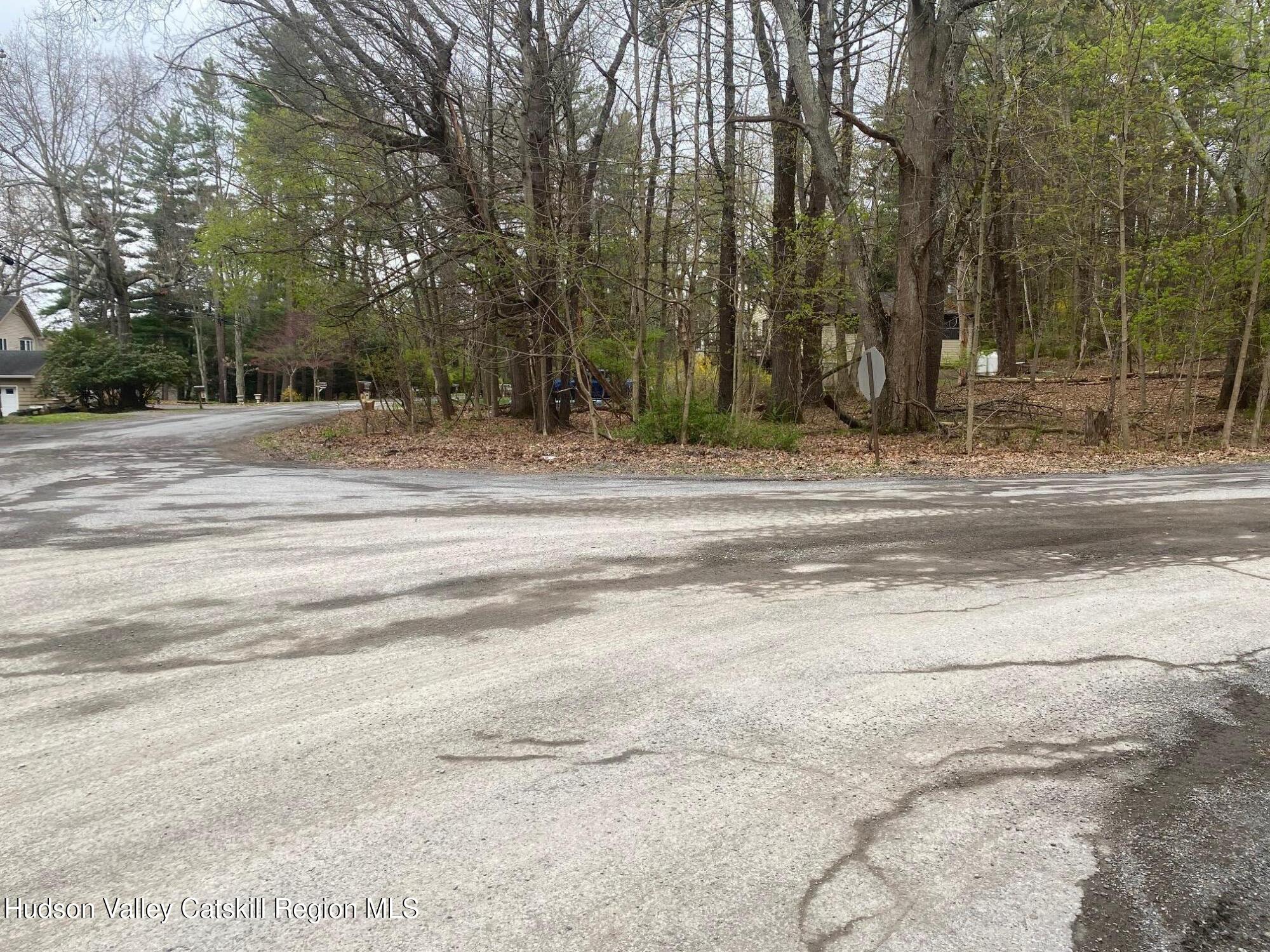 1129 Lakeview Road Copake, NY 12516 - Photo 8 of 12 a view of park space with trees