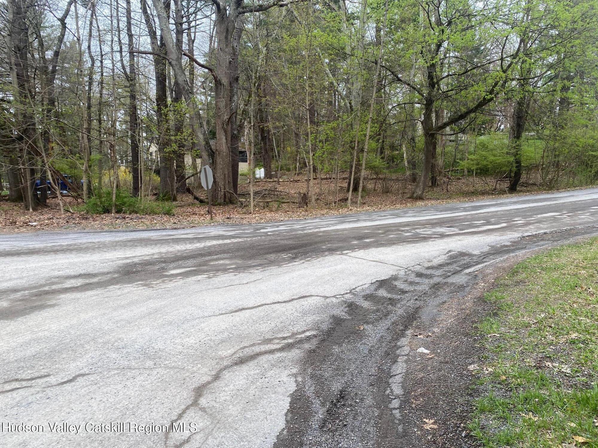 1129 Lakeview Road Copake, NY 12516 - Photo 9 of 12 a view of a yard with large trees