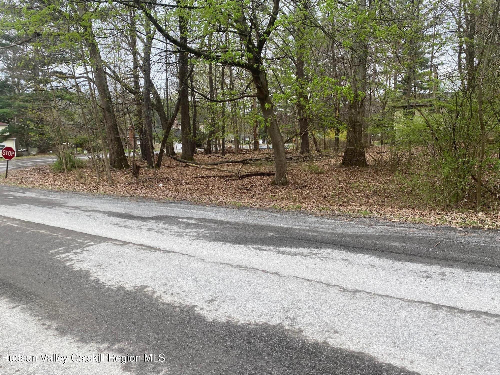 1129 Lakeview Road Copake, NY 12516 - Photo 10 of 12