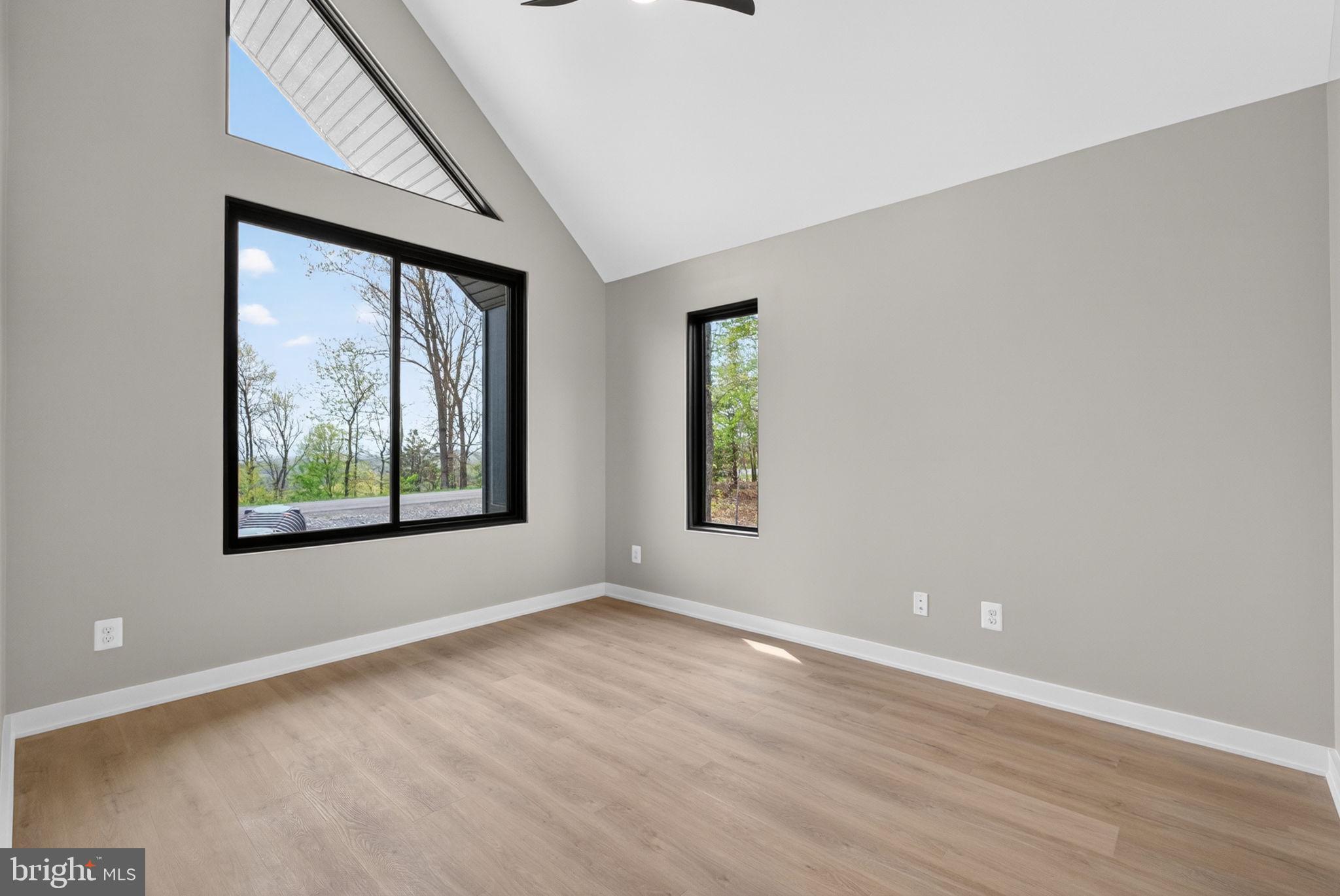 4101 Supinlick Ridge Road Mount Jackson, VA 22842 - Photo 20 of 34 an empty room with wooden floor and windows