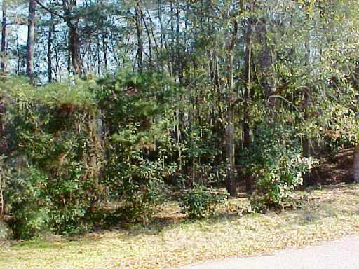 102 Blackburn Place Covington, LA 70433 - Photo 3 of 3 Gallery Image 3
