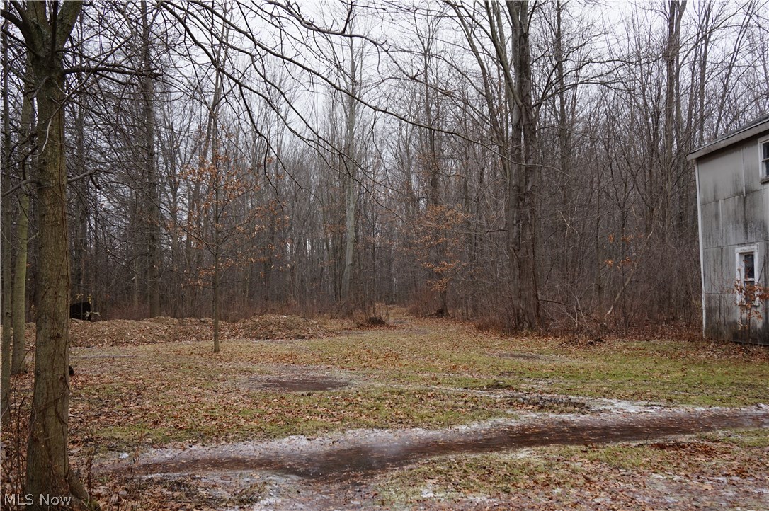 9820 Root Road Columbia Station, OH 44028 - Photo 12 of 15 Gallery Image 12