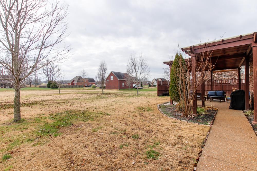 605 Lee Road Lebanon, TN 37087 - Photo 28 of 30 a view of a yard with plants
