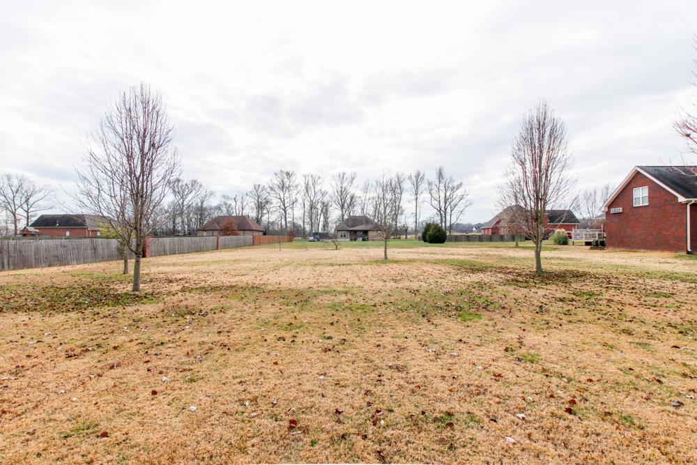 605 Lee Road Lebanon, TN 37087 - Photo 30 of 30 a view of a yard with a house