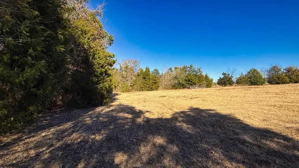 a view of lake with trees