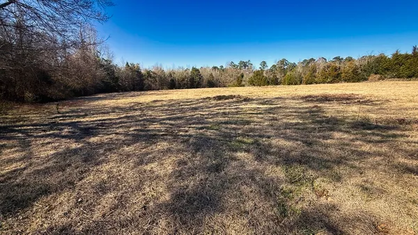 a view of mountain with green field