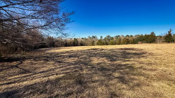 a view of an ocean beach