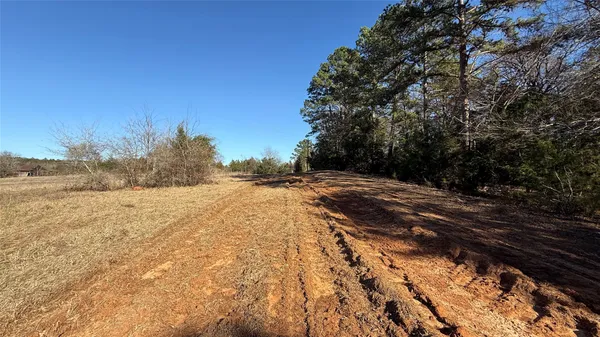 a view of side of a yard