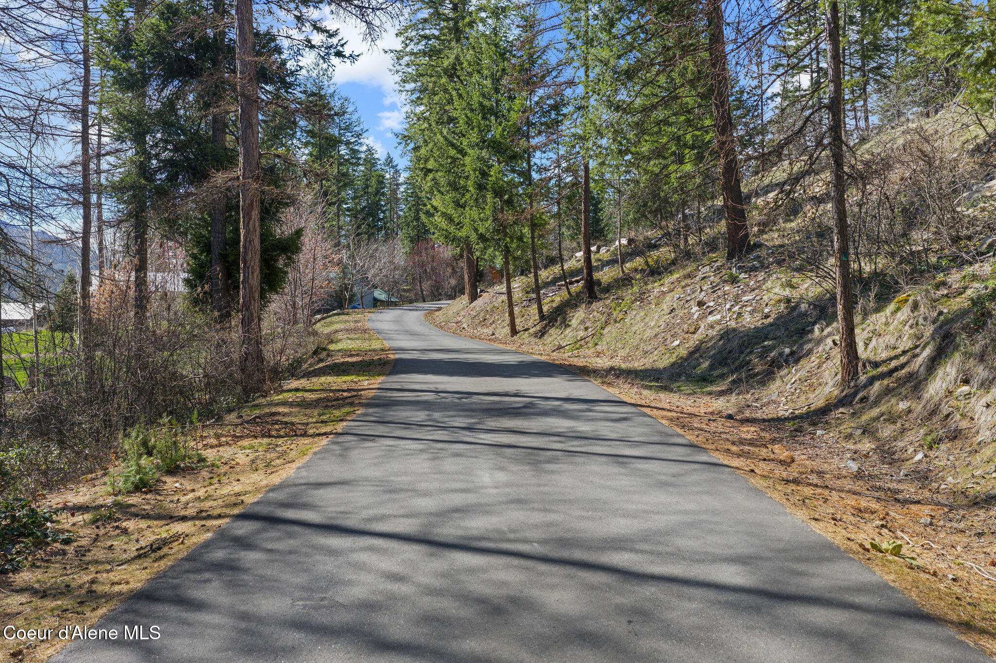 574 Glacier Loop Road Athol, ID 83801 - Photo 5 of 17 5_574GlacierLoop_SelkirkMedia