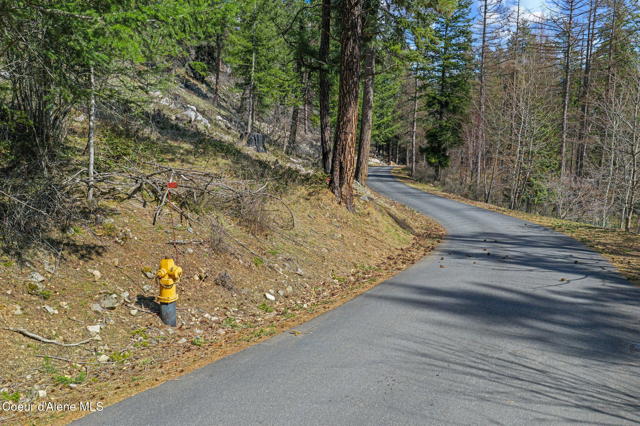 574 Glacier Loop Road Athol, ID 83801 - Photo 7 of 17 8_574GlacierLoop_SelkirkMedia