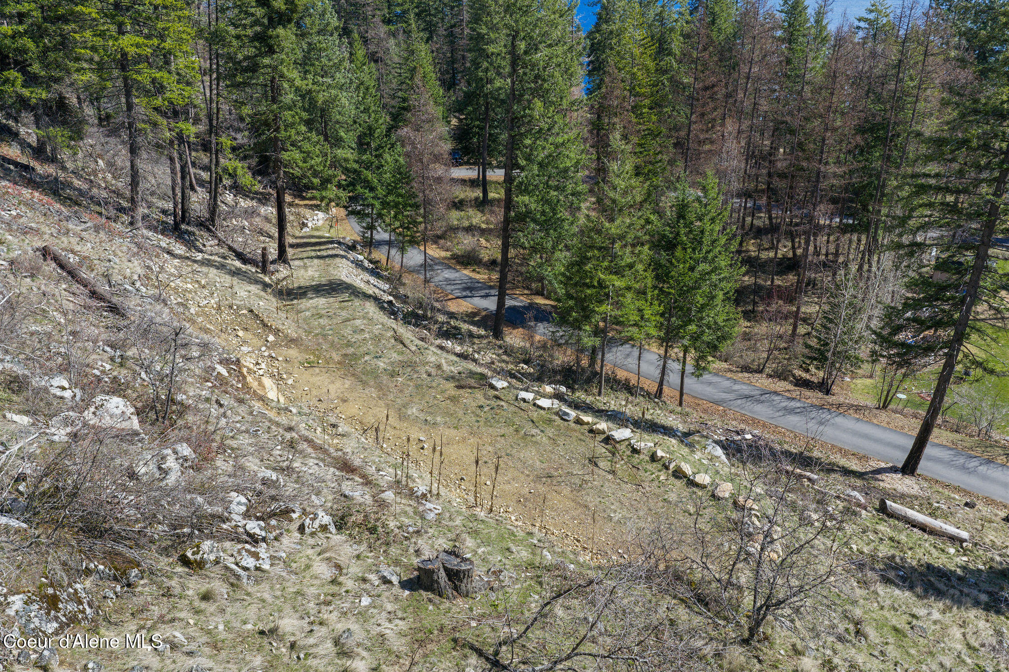 574 Glacier Loop Road Athol, ID 83801 - Photo 9 of 17 12_574GlacierLoop_SelkirkMedia