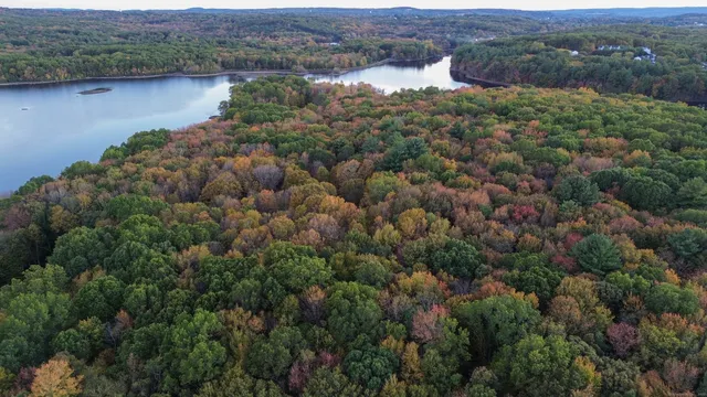 an aerial view of houses covered in trees
