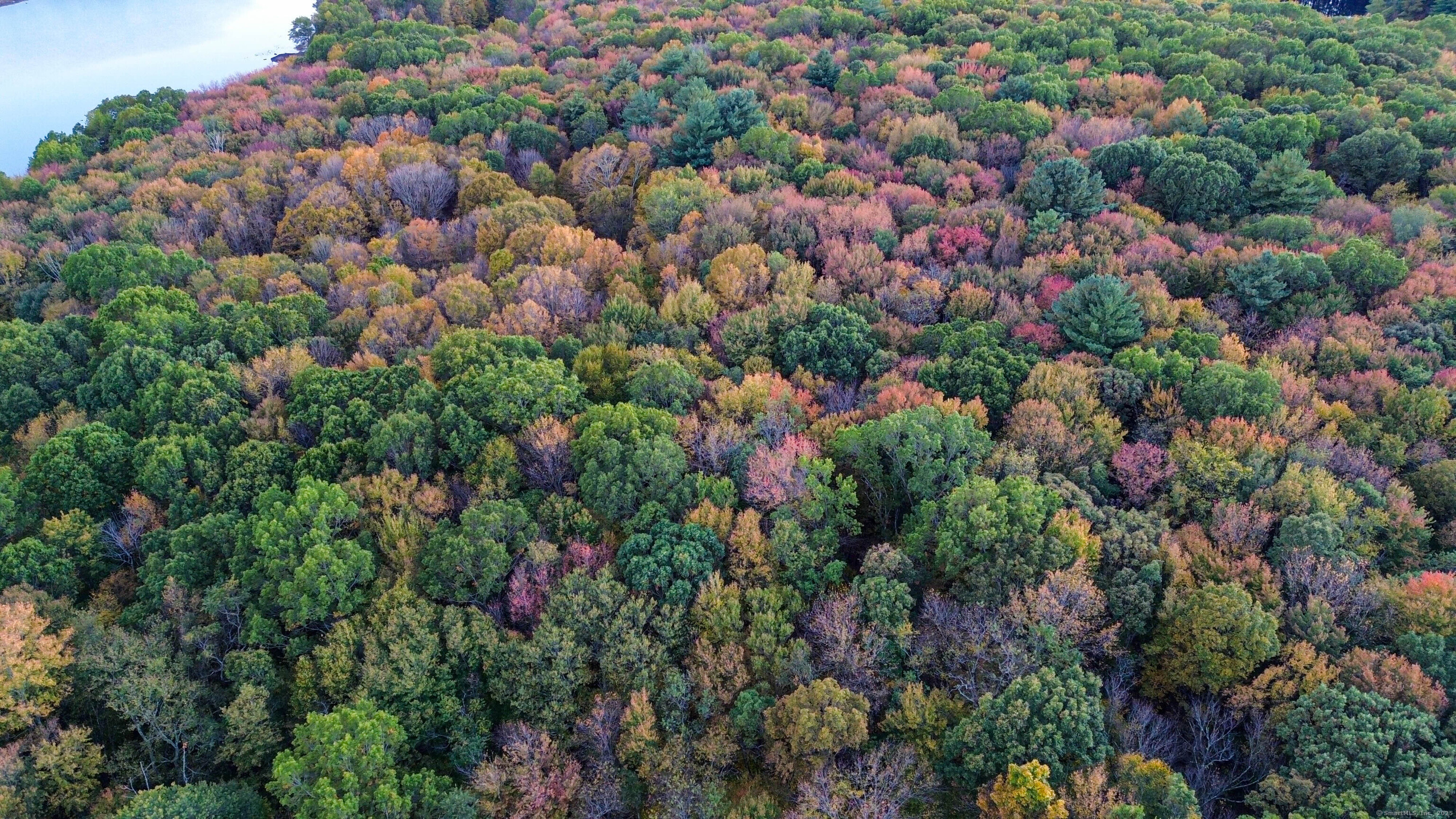 Coe Road Wolcott, CT 06716 - Photo 13 of 24 a view of a and covered with flowers