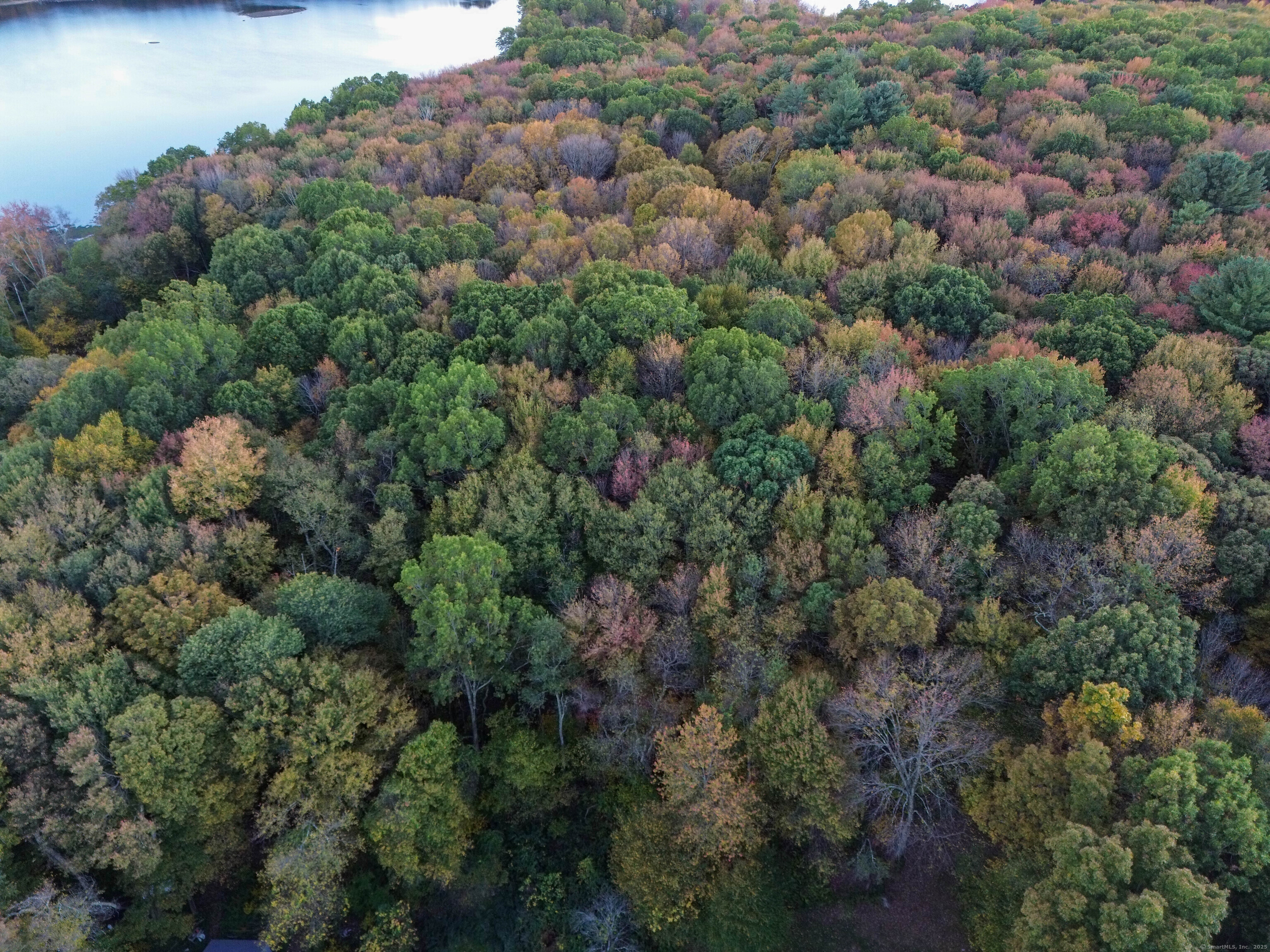 Coe Road Wolcott, CT 06716 - Photo 17 of 24 an aerial view of house with outdoor space and trees all around