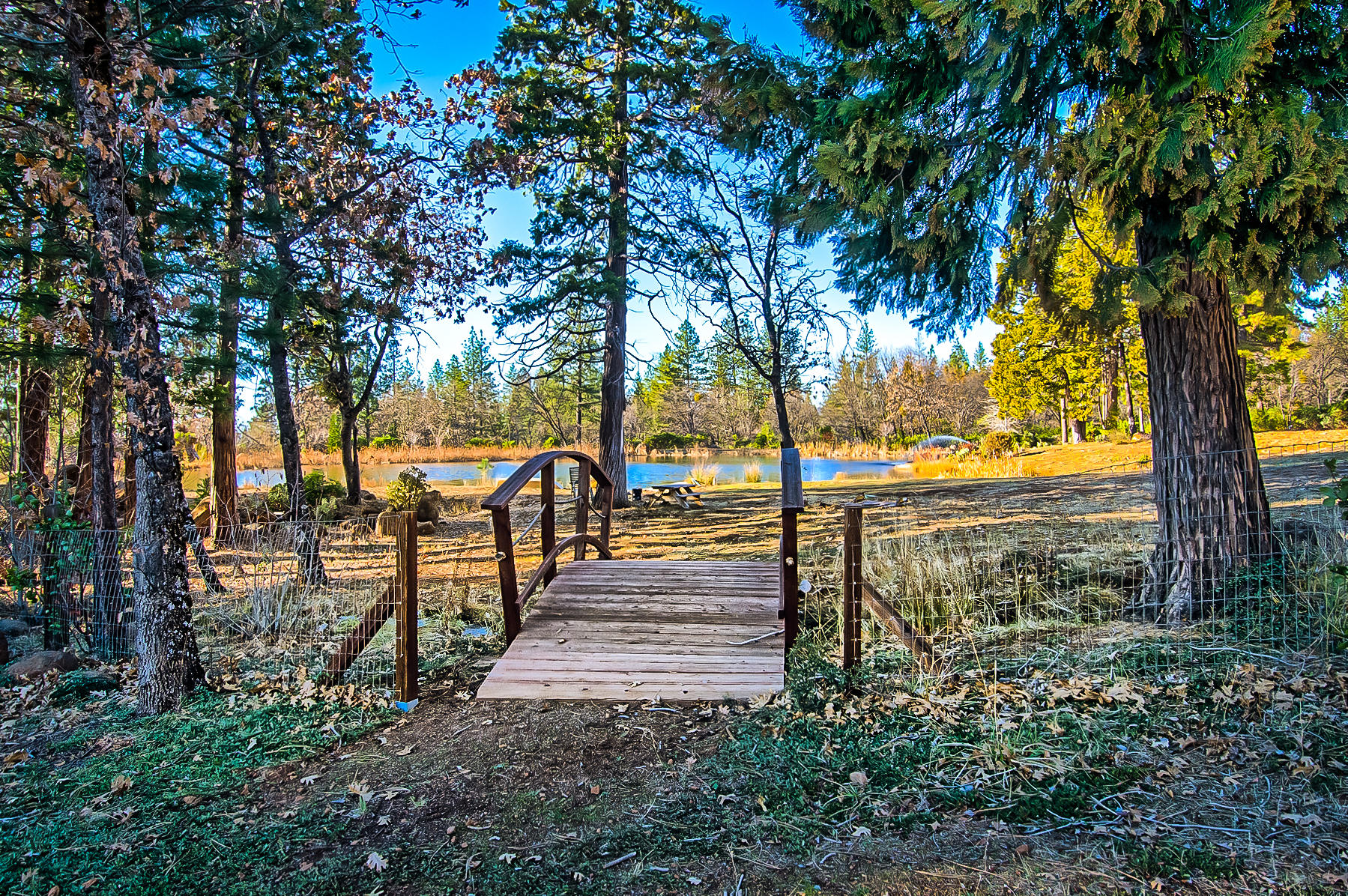 32505 Forwards Ml Road Manton, CA 96059 - Photo 11 of 70 forward-106