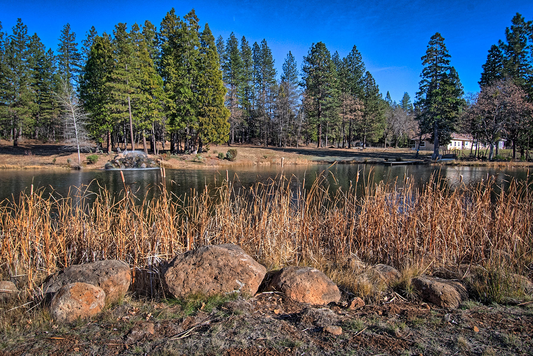 32505 Forwards Ml Road Manton, CA 96059 - Photo 12 of 70 forward-108