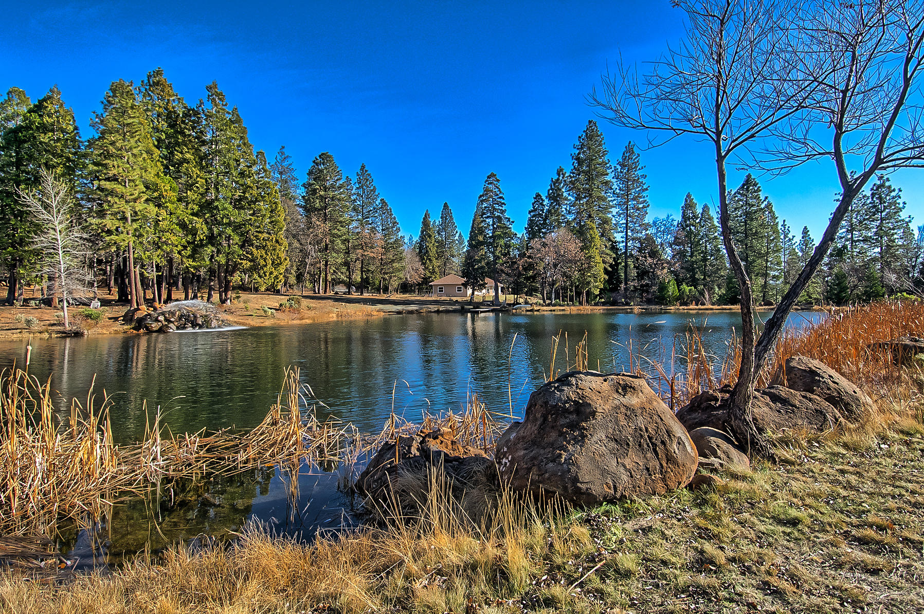 32505 Forwards Ml Road Manton, CA 96059 - Photo 13 of 70 forward-109