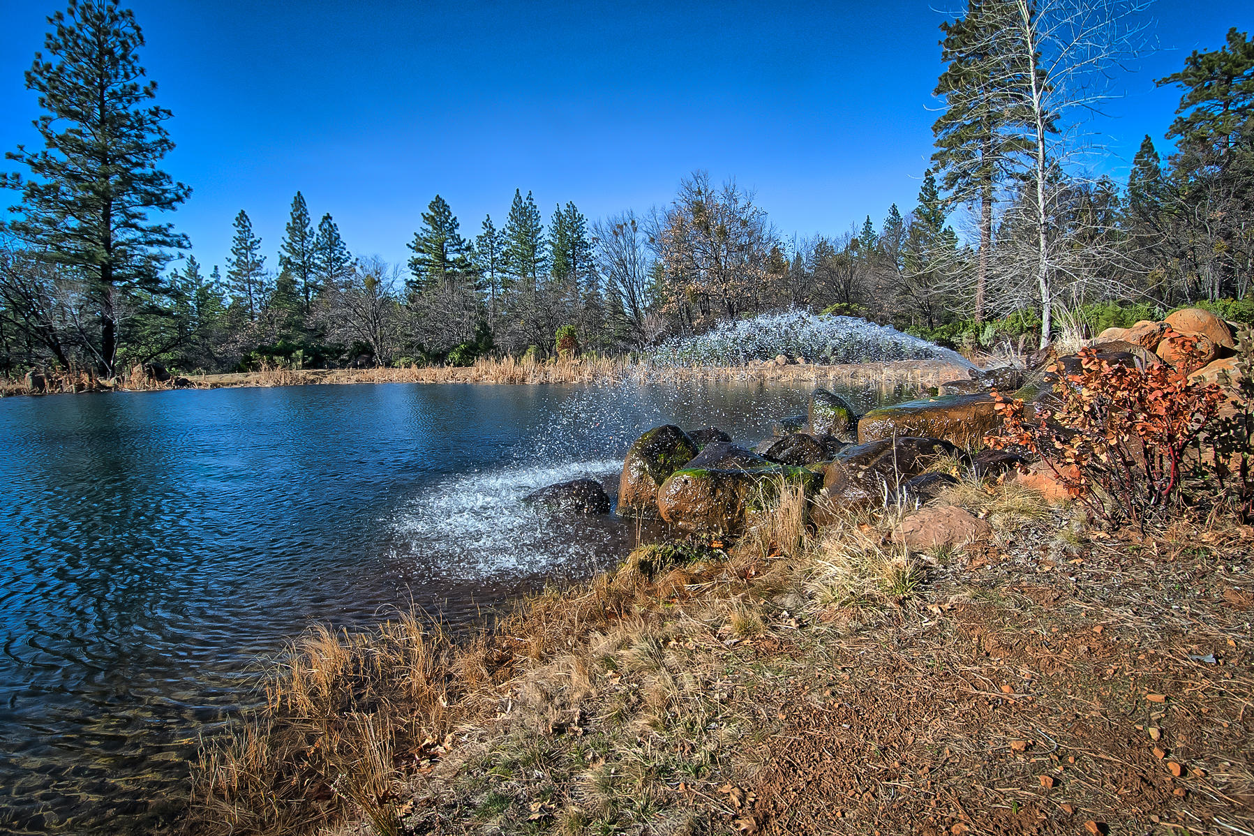 32505 Forwards Ml Road Manton, CA 96059 - Photo 14 of 70 a view of a lake with houses in the back