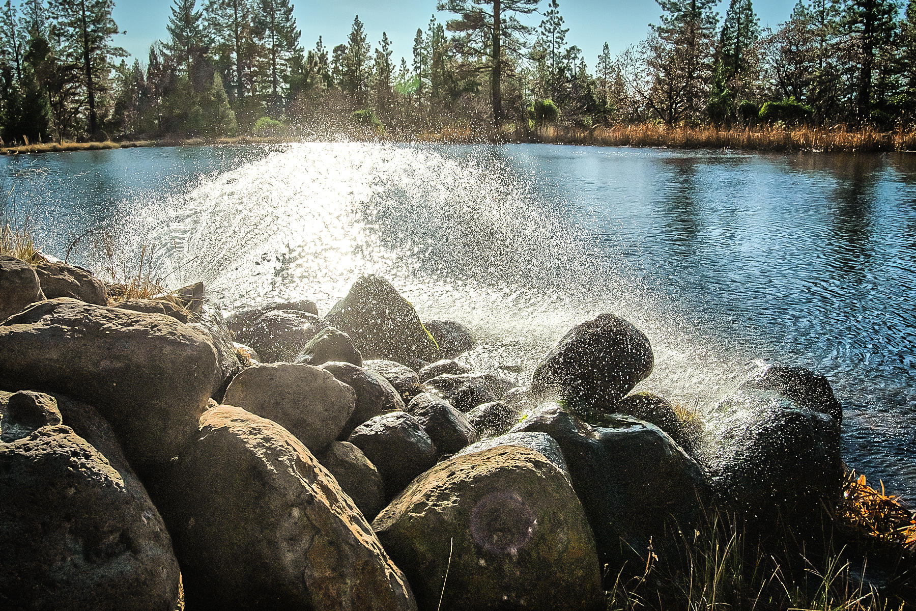 32505 Forwards Ml Road Manton, CA 96059 - Photo 15 of 70 forward-111