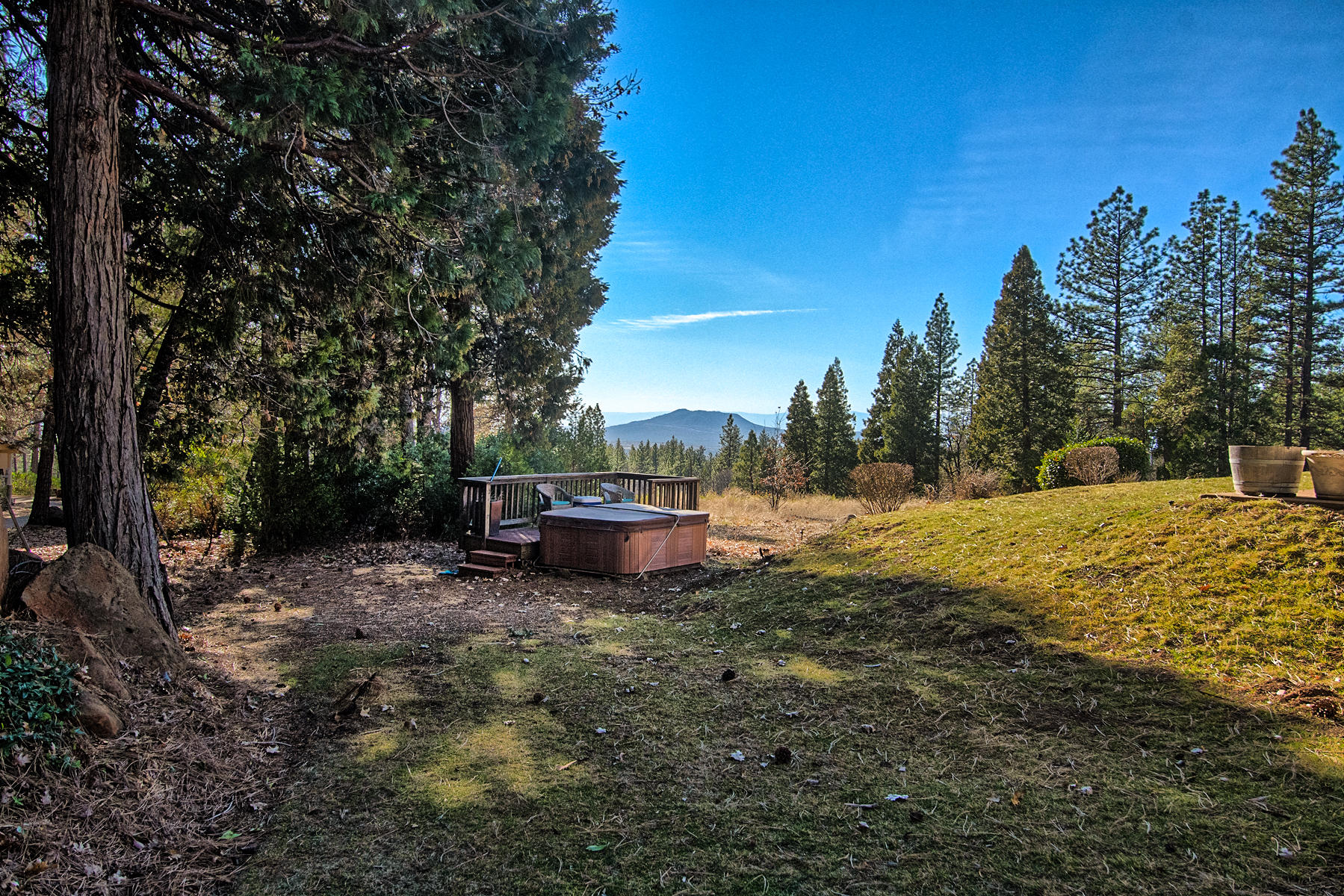 32505 Forwards Ml Road Manton, CA 96059 - Photo 17 of 70 a view of a backyard with trees