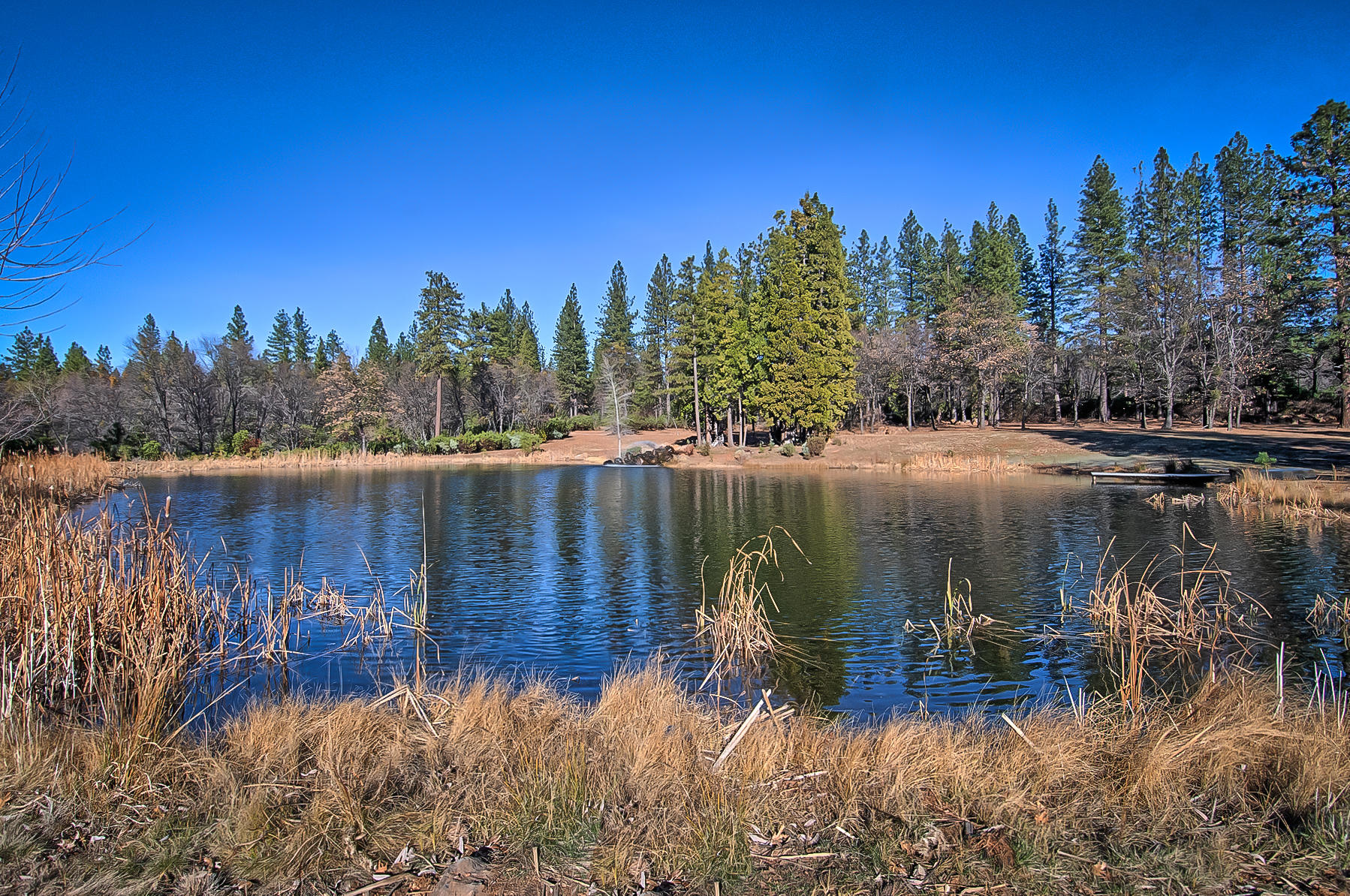 32505 Forwards Ml Road Manton, CA 96059 - Photo 2 of 70 forward-107