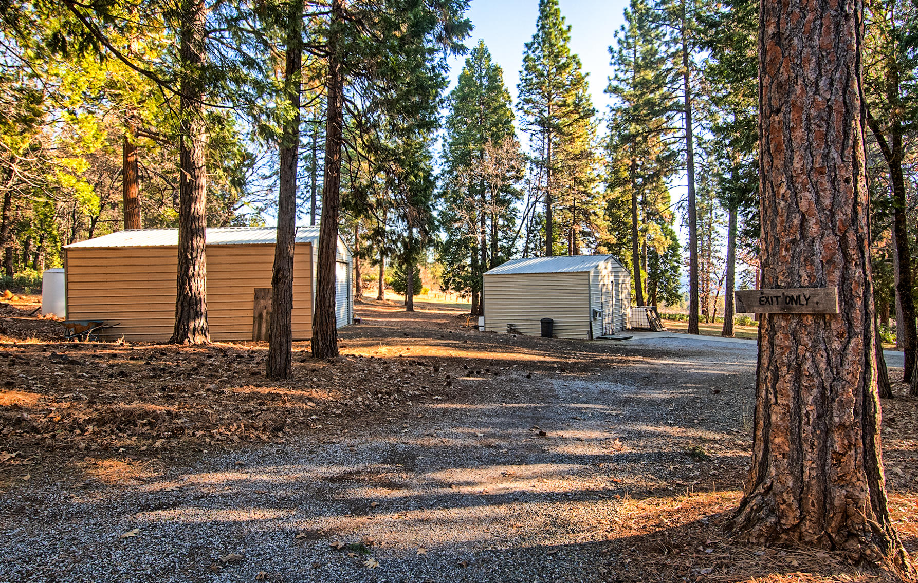 32505 Forwards Ml Road Manton, CA 96059 - Photo 35 of 70 a view of a yard with plants and trees