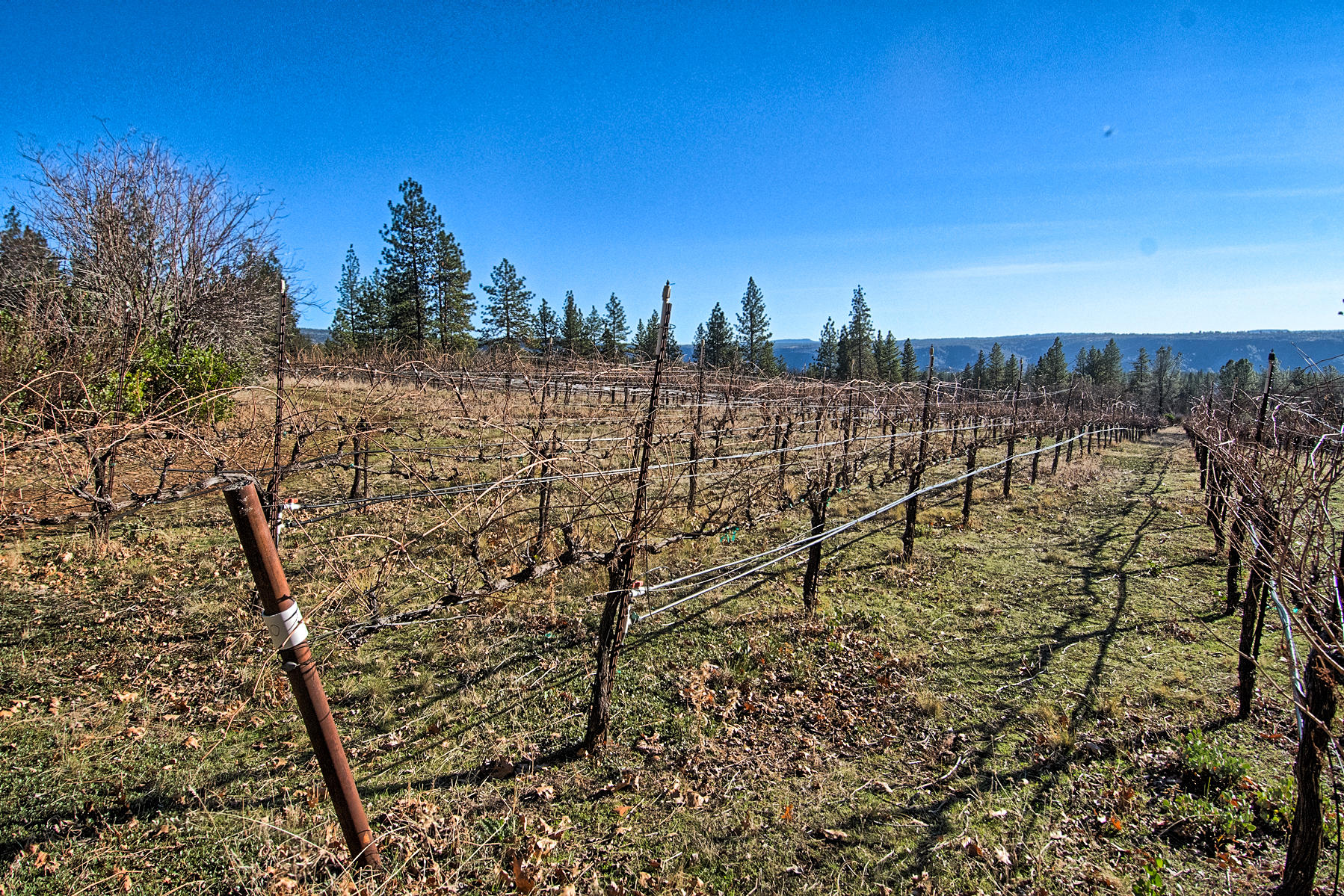 32505 Forwards Ml Road Manton, CA 96059 - Photo 5 of 70 forward-135