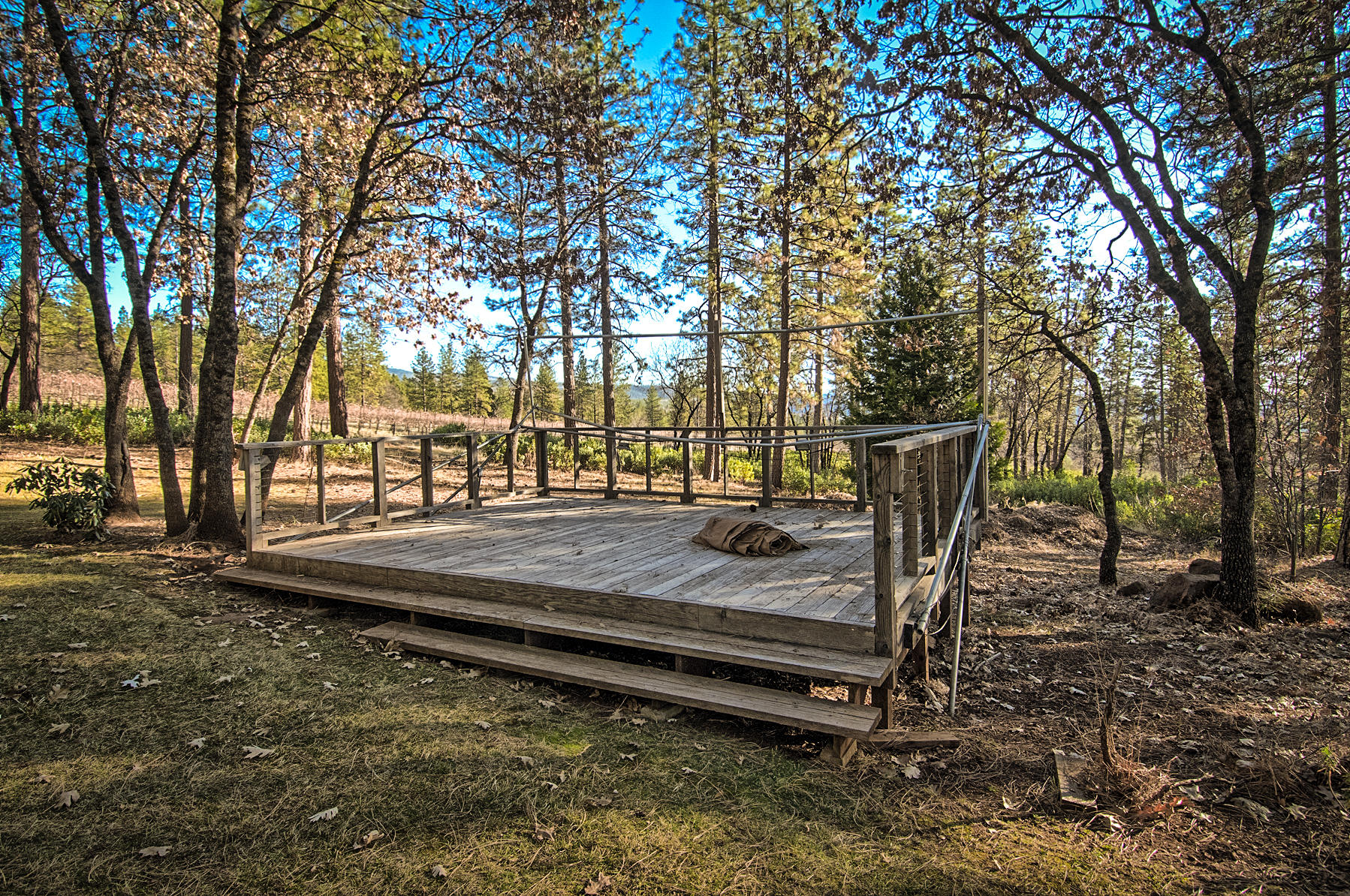 32505 Forwards Ml Road Manton, CA 96059 - Photo 6 of 70 a view of outdoor space with trees