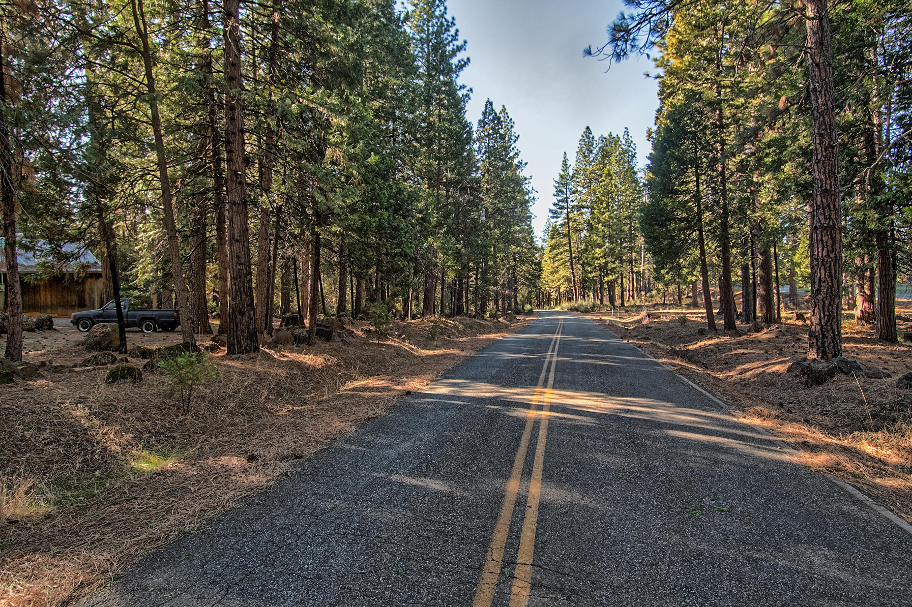 32505 Forwards Ml Road Manton, CA 96059 - Photo 62 of 70 a view of street with trees
