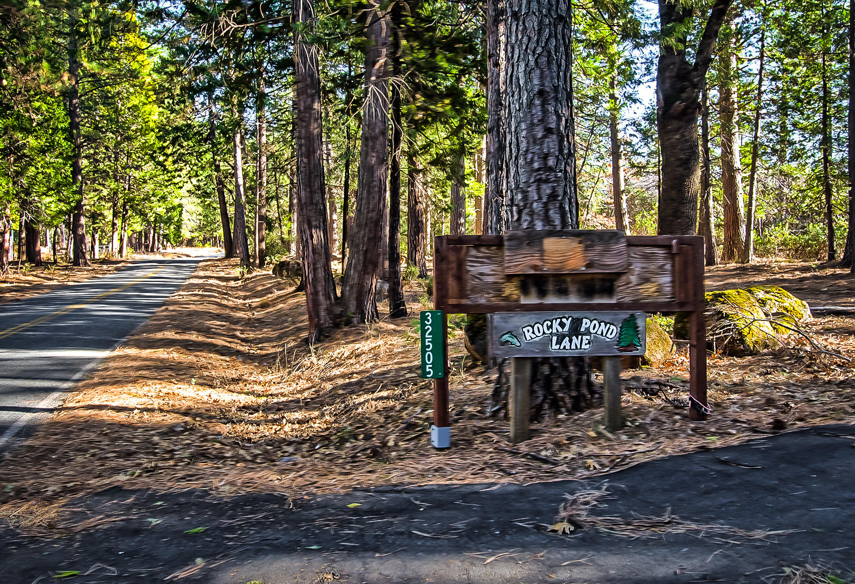 32505 Forwards Ml Road Manton, CA 96059 - Photo 7 of 70 a backyard of a house with barbeque oven