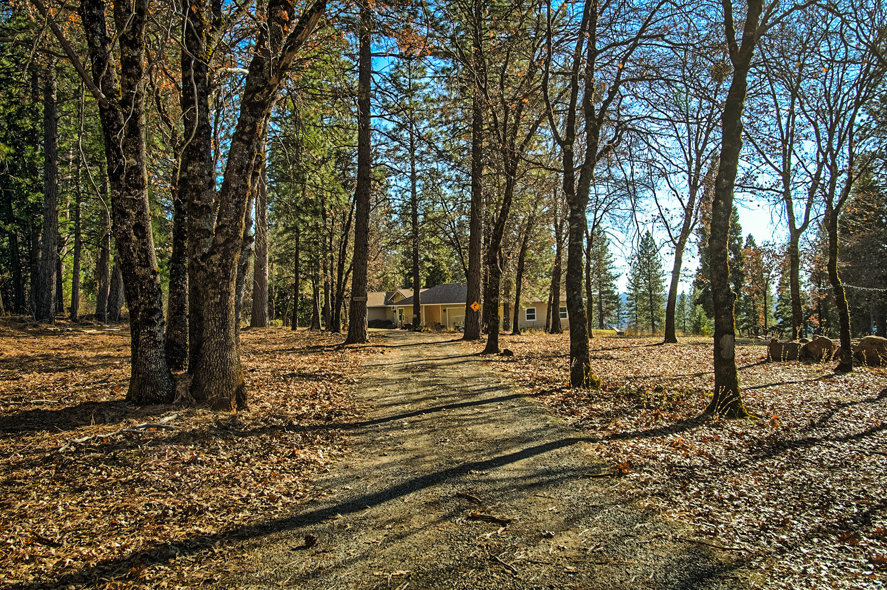 32505 Forwards Ml Road Manton, CA 96059 - Photo 8 of 70 forward-101