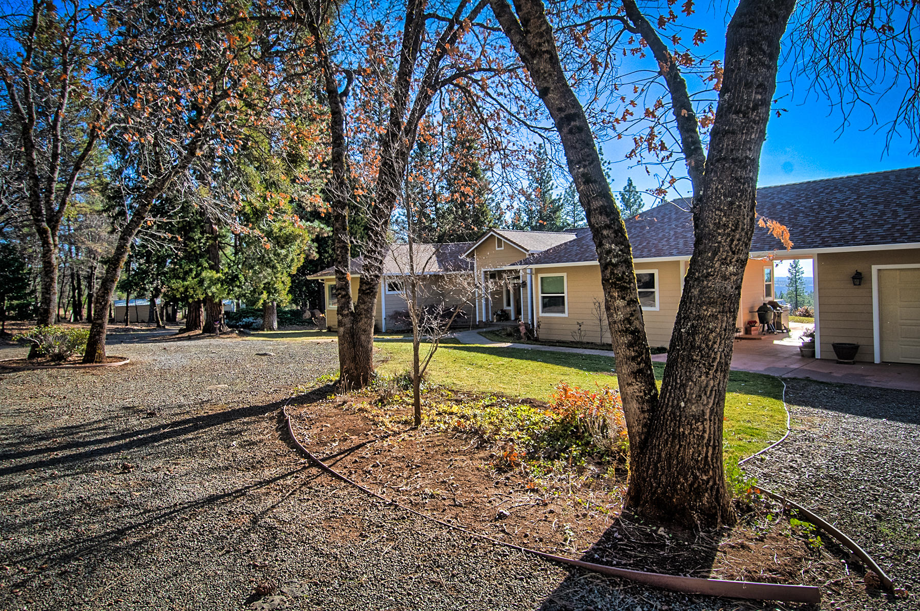 32505 Forwards Ml Road Manton, CA 96059 - Photo 9 of 70 a view of a house with backyard