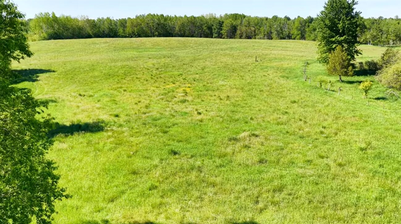 0 20 20 Mile Road Marion, MI 49665 - Photo 5 of 28