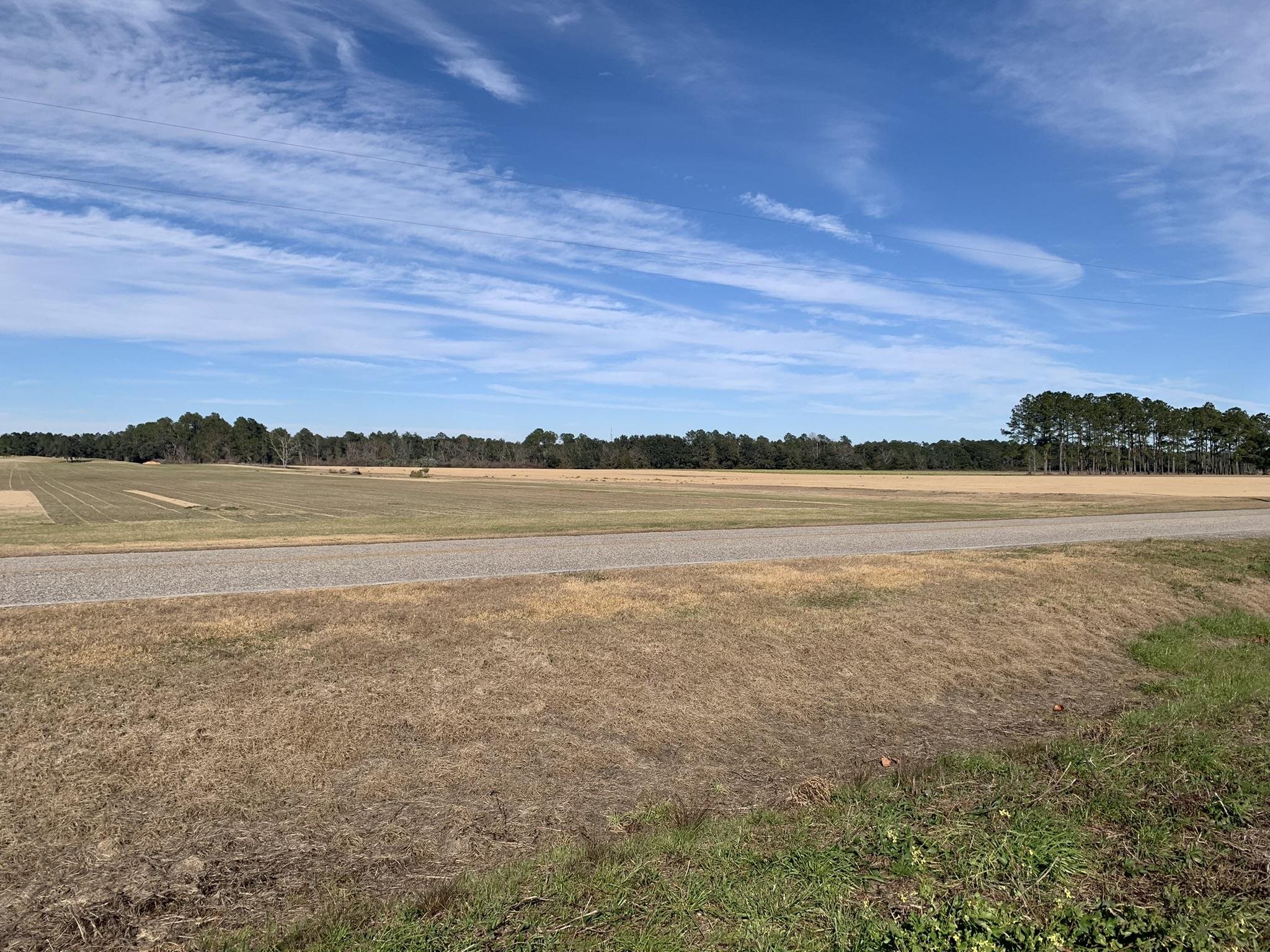 Lot 4 County Road 26 Elberta, AL 36530 - Photo 2 of 4