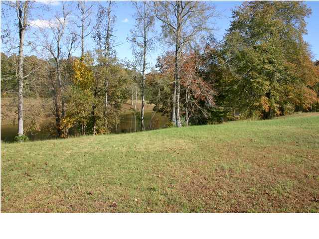 1323 Holly Glen Road Decatur, TN 37322 - Photo 14 of 18 Additional Photo