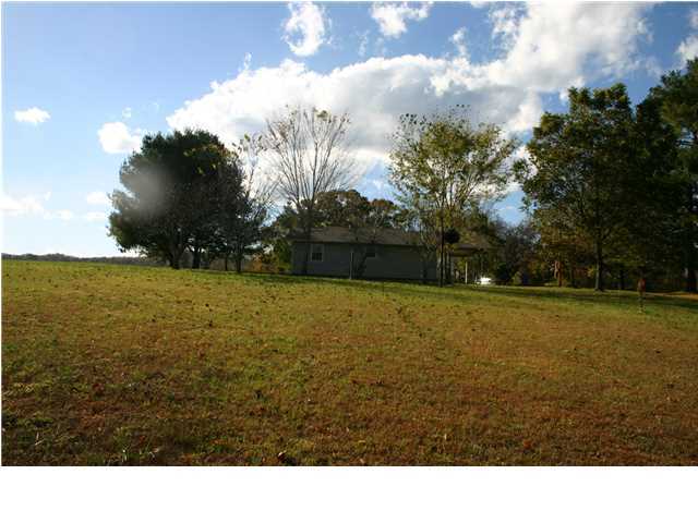 1323 Holly Glen Road Decatur, TN 37322 - Photo 15 of 18 Additional Photo
