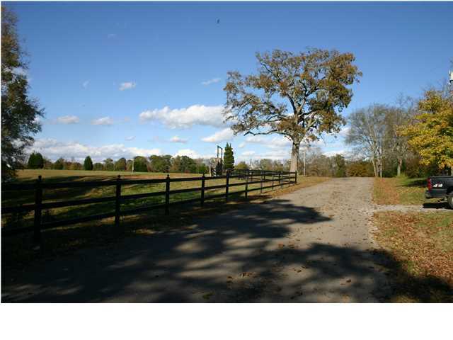 1323 Holly Glen Road Decatur, TN 37322 - Photo 3 of 18 Additional Photo