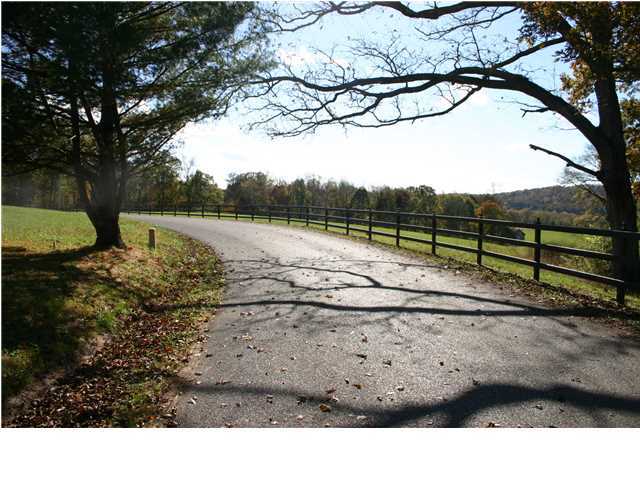 1323 Holly Glen Road Decatur, TN 37322 - Photo 4 of 18 Additional Photo