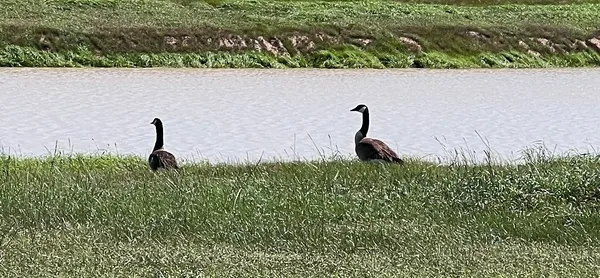 $94,999 | 2400 Coronado Estates, Bryan, TX 77808