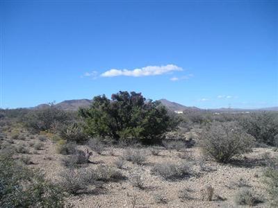 0 Nino Road Cochise, AZ 85606 - Photo 2 of 3