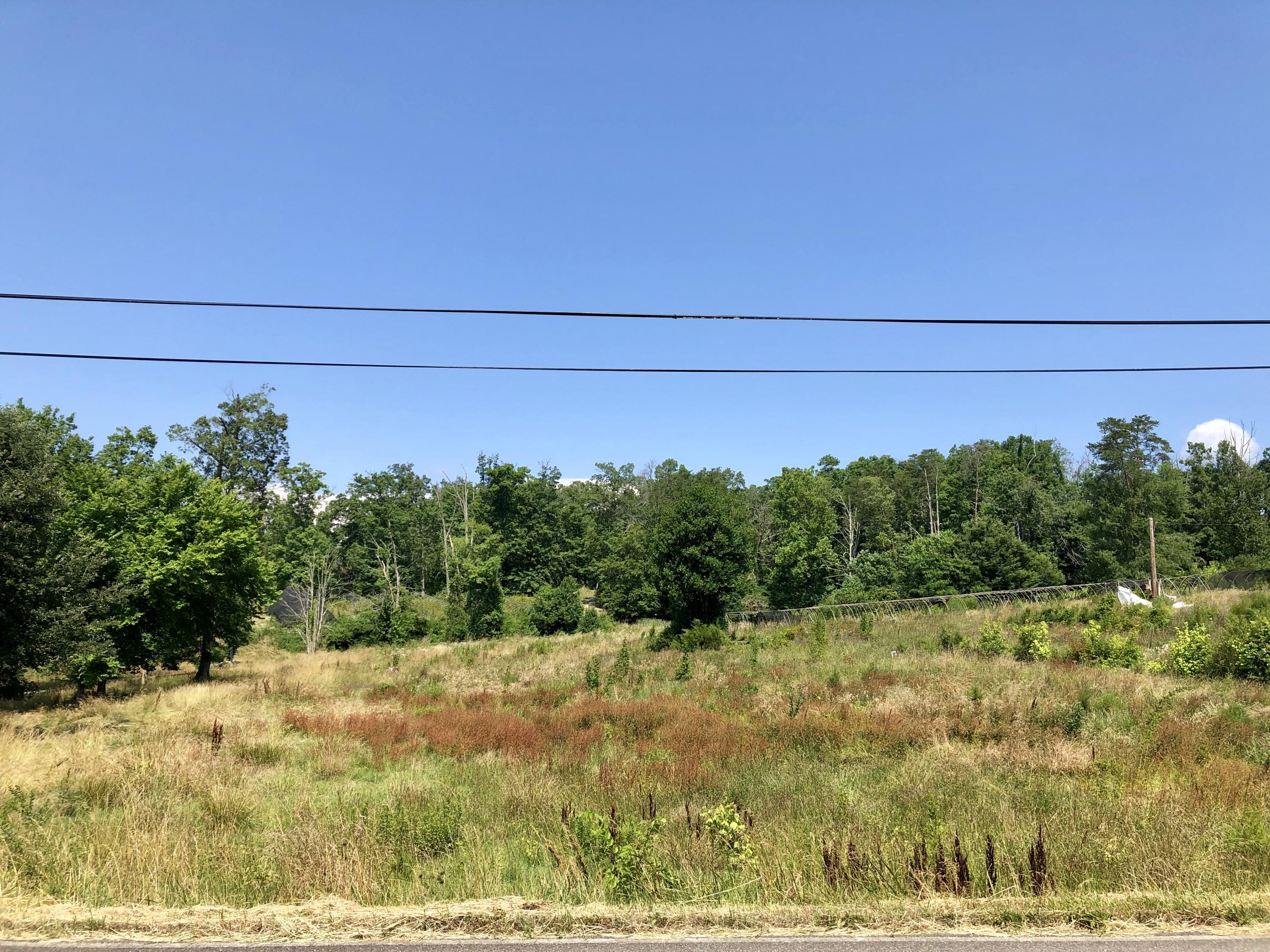 School Road Kodak, TN 37764 - Photo 2 of 10 fullsizeoutput_a68e
