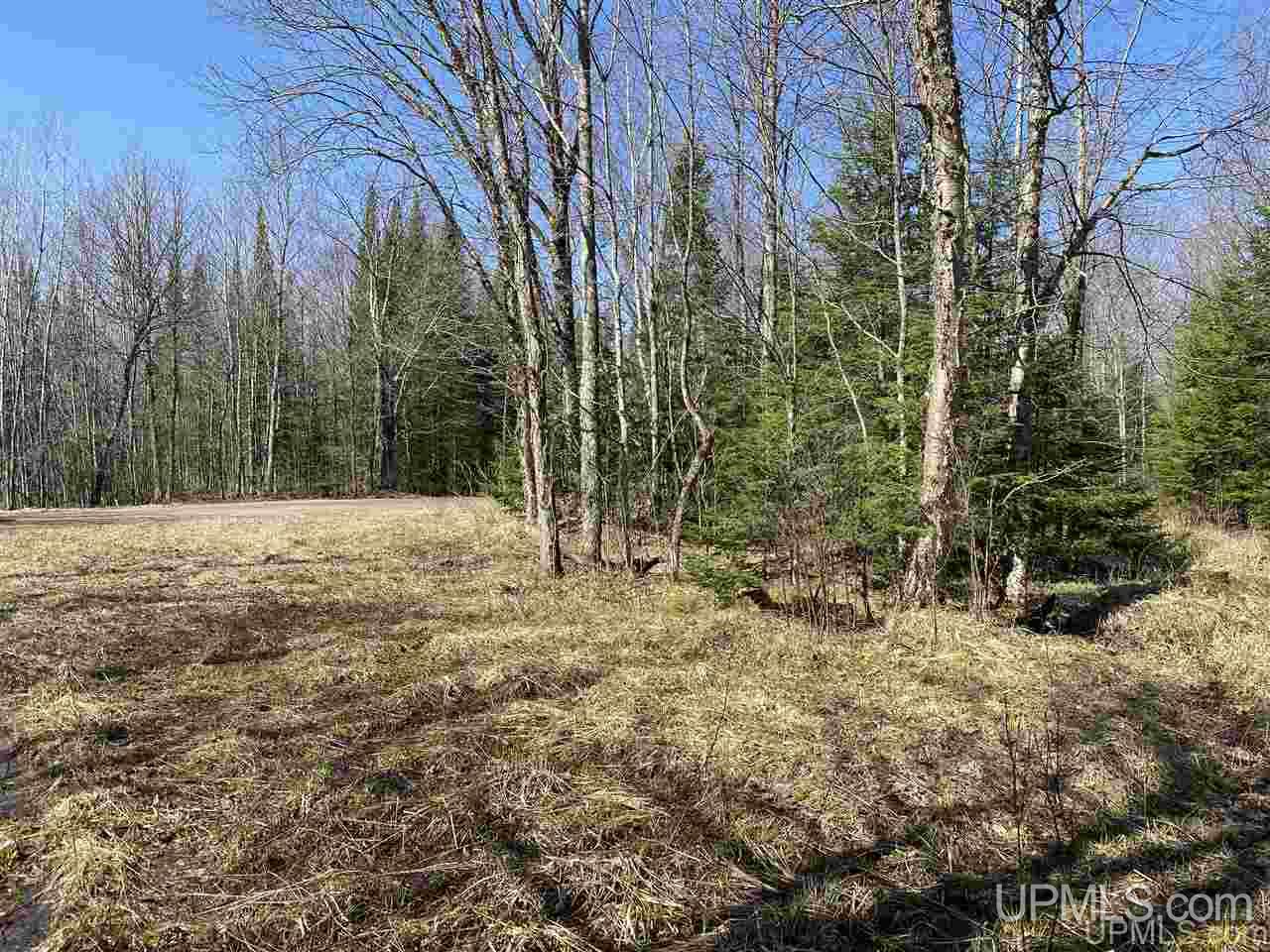 Off Nelson Road Glidden, WI 54527 - Photo 3 of 23