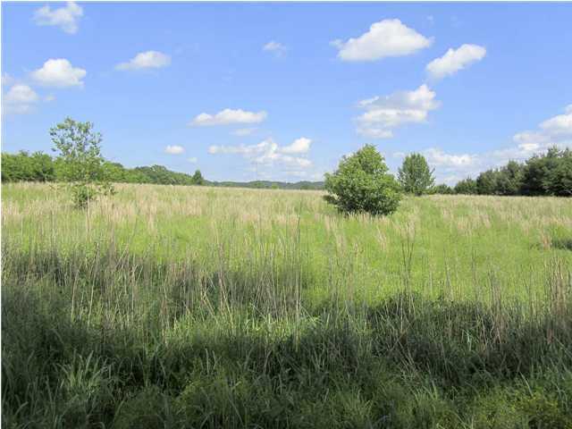 Lot 2 Harrison Ferry Road, Unit 2 Baneberry, TN 37890 - Photo 2 of 15 Additional Photo